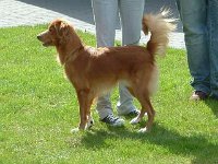 k-2008-07-13 001
